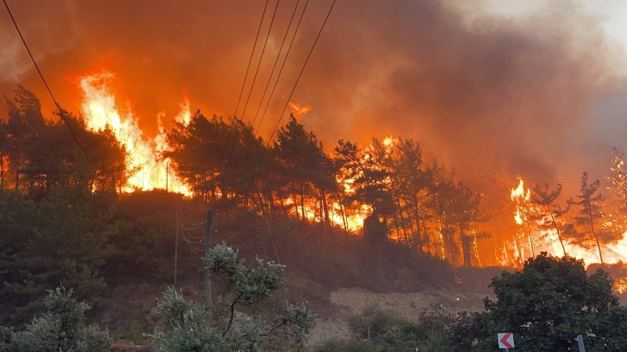 turkey-forest-fire