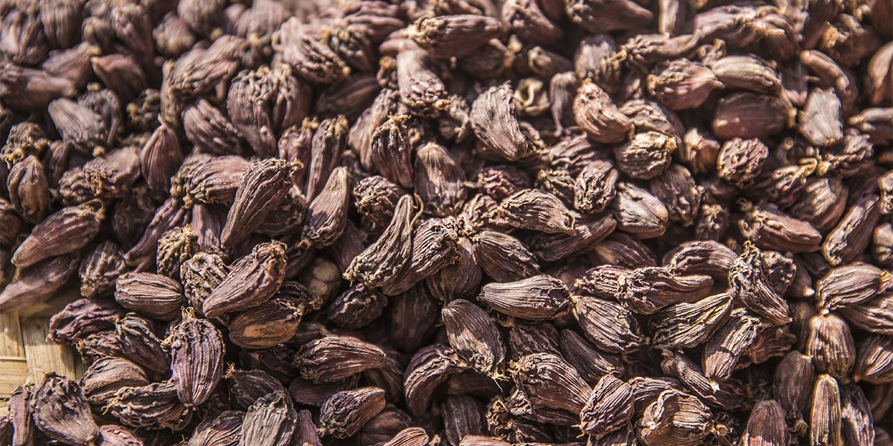 black-cardamom-alaichi-nepal-tatokhabar-tato-khabar-tattato-khabar