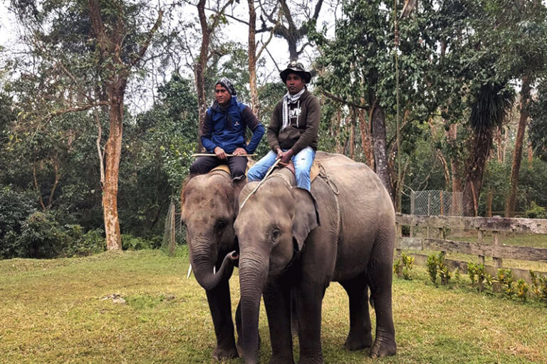 Hatti-rudrakali-khagendra-prasad-elephant-nepal-gift