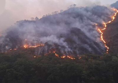 myagdi-forest-fire