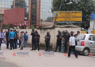 kishan-andolan-dairy-farmer-strike-kathmandu