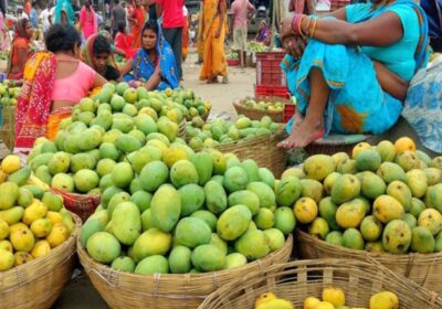 mango-routahat-rautahat