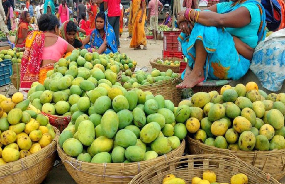 mango-routahat-rautahat