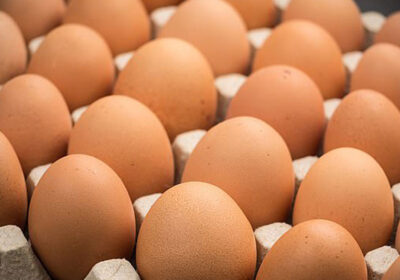 egg price hike