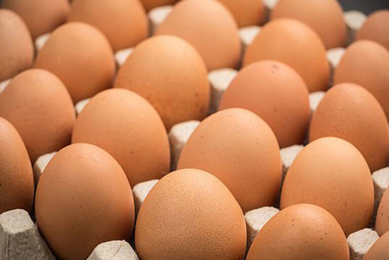 egg price hike