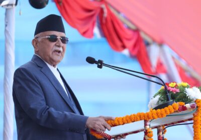 PM_KP_Oli_APF