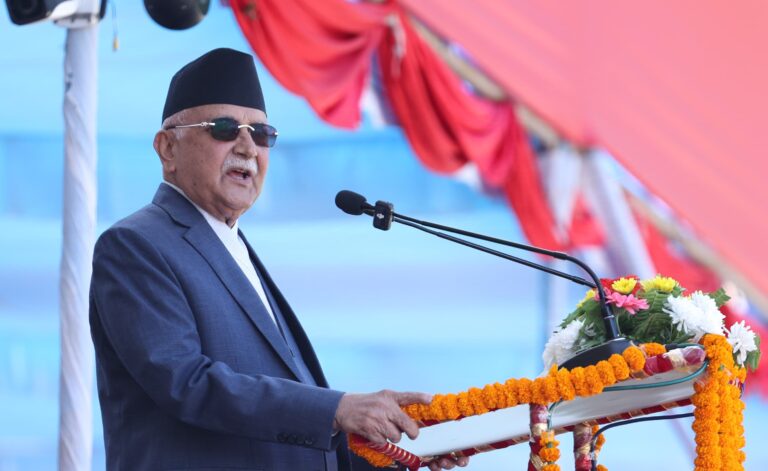 PM_KP_Oli_APF